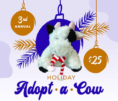 Desert Mission Food Bank - 2025 Milk Drive