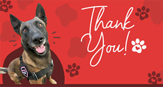 HonorHealth Foundation Puppy Love