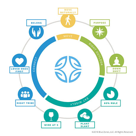 Blue Zones Power 9