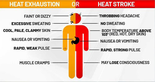 Word of Honor - June 2025 - Heat risk graph