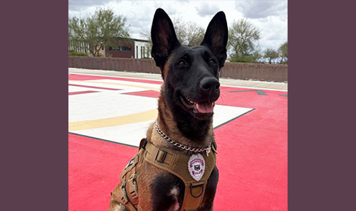 Philanthropy in Action - August 2025 - Bama