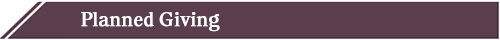 Philanthropy in Action - January 2026 - Planned Giving banner