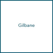 Gilbane