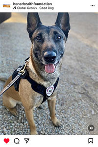 Word of Honor - July 2025 - Social Media